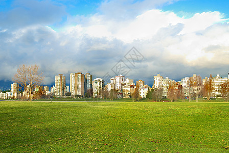 绿公园土地建筑季节蓝色城市草地摩天大楼晴天天空木头图片