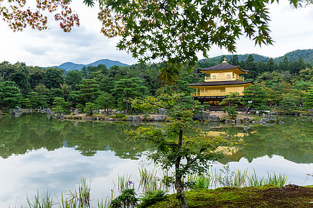 日本京都Kinkakuji寺庙纪念碑精神金子佛教徒文化森林建筑学宗教艺术建筑图片