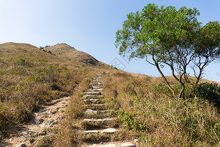 兰图秋峰图片