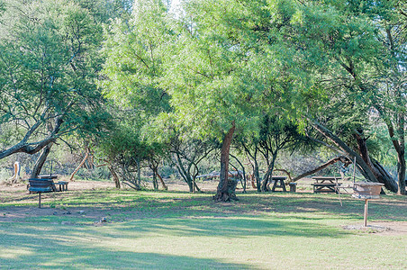 泽布拉山国家公园的彩虹区阳光自然保护区野餐休息处烧烤桌子阴影晴天座位水利图片