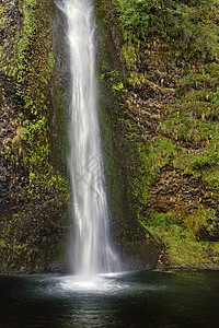 马尾瀑布 哥伦比亚河峡谷国家风景区 沃什岩石溪流侵蚀绿色公园瀑布石墙植被背景图片