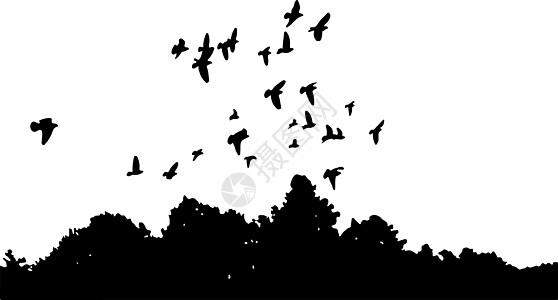 一群鸽子在树上飞翔图片