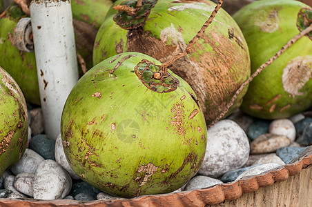 椰子绿色热带水果自然光背景图片