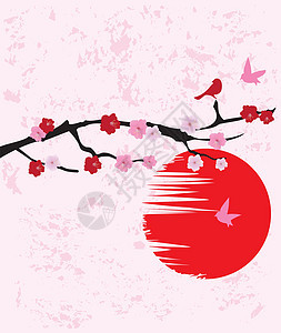 樱桃季节植物叶子植物学插图粉色花瓣樱花白色花园图片