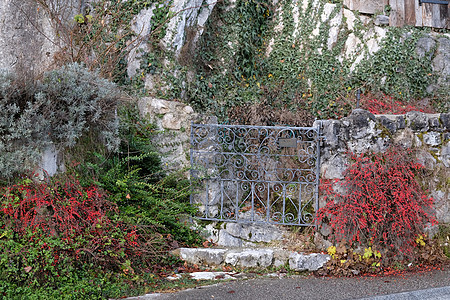 古典设计在奥地利Hallstat的一个美丽的花园中制造铁门图片