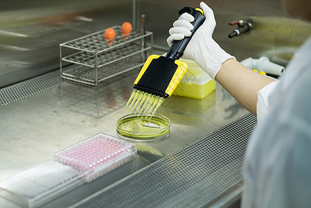 研究人员将测试液转移至96口用于微生物的油井板遗传吸管盘子制药细胞科学塑料实验室疾病文化图片