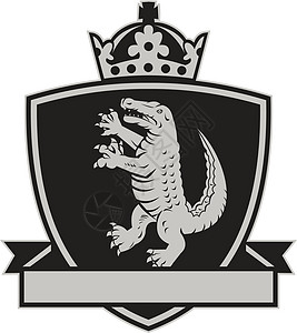 Gator 站立侧纹章 Crest Retr高清图片