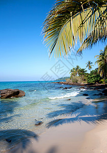 热带热带海滩旅行海洋植物旅游天空海岸椰子阳光海景棕榈图片