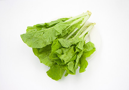 在菜盘上生菜蔬菜植物莴苣沙拉白色叶子工作室长叶外邦绿色食物图片