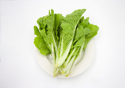 在菜盘上生菜蔬菜食物长叶白色沙拉工作室叶子植物莴苣外邦绿色图片