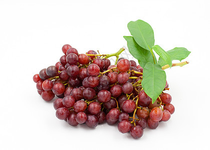 白色背景的红葡萄酒厂浆果绿色水果食物维生素营养叶子红色果汁图片