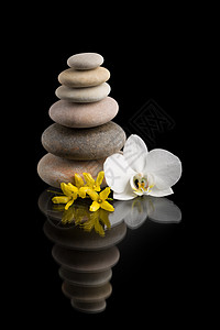 用白花遮黑的金石头治疗石头冥想反射叶子场景沉思禅意卵石鹅卵石图片