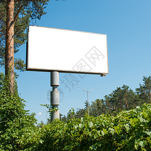有空的空间的空白的广告牌促销森林横幅公告商业木板海报账单营销框架图片