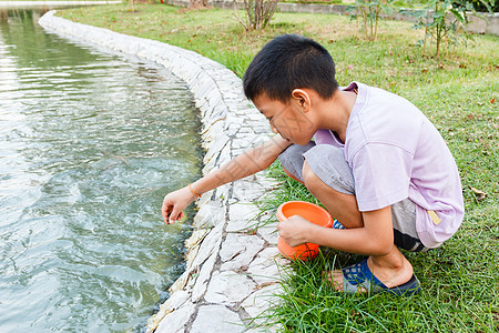 男孩喂鱼紫色池塘花园孩子食物动物乐趣拖鞋喜悦公园图片