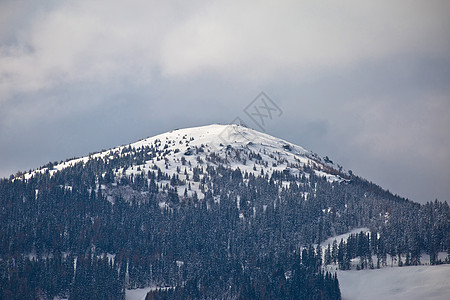 奥地利阿尔卑斯山的峰值区域图片