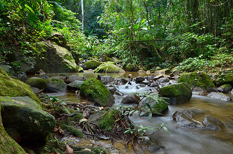 瀑布河绿树场景荒野旅行溪流苔藓公园地标瀑布石头森林图片