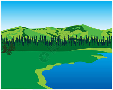 美好的年景针叶绿色木头毛皮季节插图植物群海岸空地公园图片