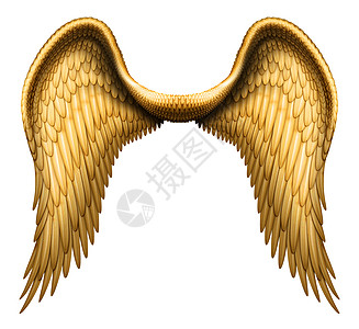 天使翼翅膀天堂天使羽毛大天使图片