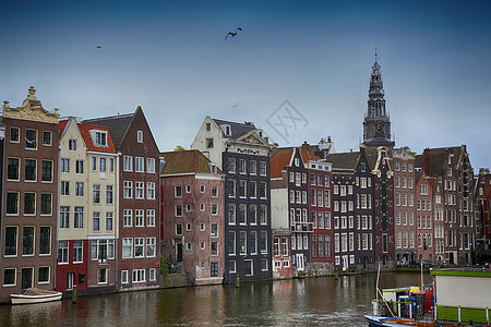 荷兰阿姆斯特丹街道城市建筑假期自行车游客运输旅行观光房子图片