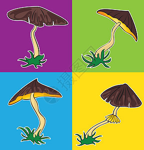 带棕帽的季节性蘑菇图片