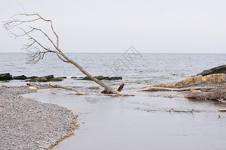 流入黑海的河水Sukko Mouth图片