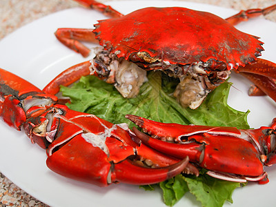 蒸螃蟹健康饮食餐厅美食家食物香味晚餐红色海鲜橙色贝类背景图片