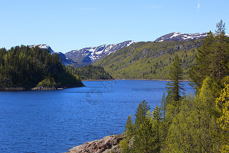 挪威夏季风景岩石峡湾石头爬坡道绿色天空蓝色松树顶峰森林图片