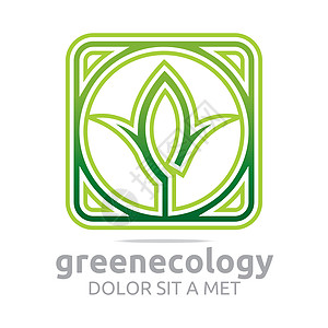 叶子绿色生态设计树叶植物互联网网络植物群环境宏观白色商业橡木图片