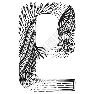 Zentangle 星际化字母  E号绘画字体语言艺术黑色叶子涂鸦装饰品插图草图图片