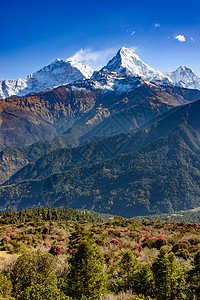 尼泊尔的安纳普尔纳南部荒野石峰杜鹃花山脉高度顶峰纵向登山地质学观光图片