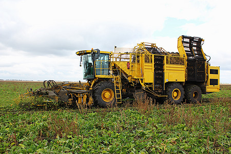 农用车辆采摘甘蔗甜菜贮存机械农场拖拉机农村场地耕地收获技术农业图片