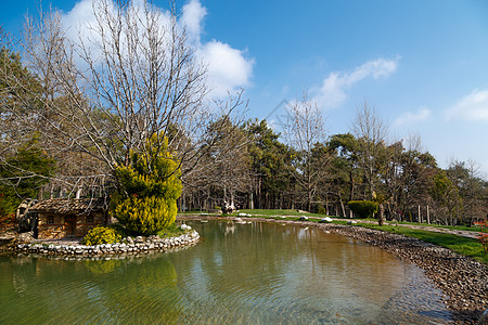 公园中的小湖湖景松树草地叶子场地森林房子生态植物途径图片