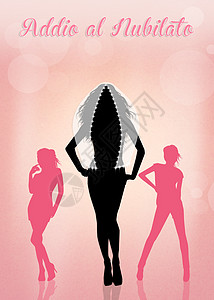 单身派对新娘粉色快乐面纱女子插图未婚庆典女性女孩们背景图片