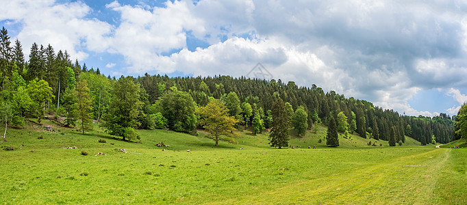 森林全景     德国温塔尔山谷图片