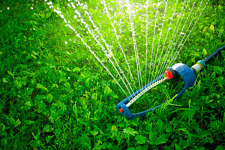 草坪喷洒器在绿草上浇灌水洒水器技术院子自然灌溉背光花园软管管道水滴背景图片