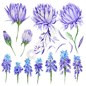 水彩花朵水彩紫花团背景