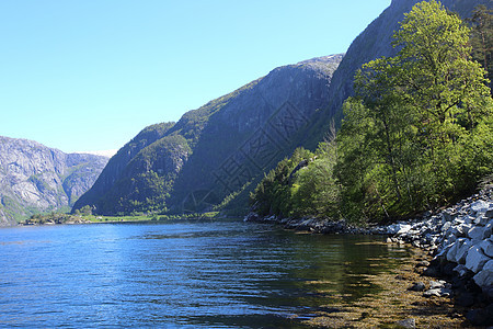 Fjord和山山森林国家天空山脉蓝色水平晴天峡湾公园图片