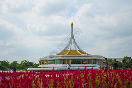 九届公共公园民众树木天鹅享受博物馆场景旅游花园旅行公园图片