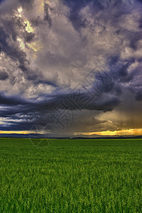 戏剧性场景  有云雨的草地天空危险环境场地波浪雷雨地形天气风景闪电背景图片