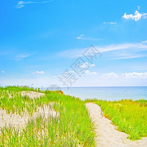 通过沙丘的路径踪迹小路草地足迹海洋海滩图片