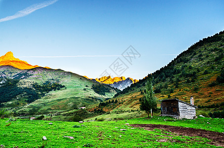 秋天进入比利牛斯山脉旅行植被小路山毛榉场景国家公园叶子森林季节图片