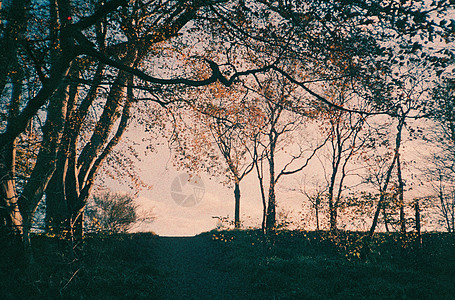 Maidencraig的自然场景照片场地农村水平环境草地摄影艺术土地植被图片