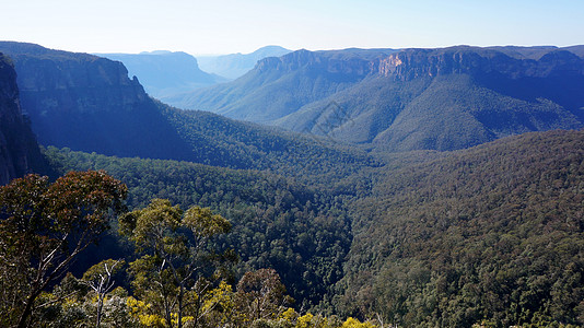 澳大利亚蓝山国家公园旅行爬坡道公园木头生态国家森林环境山脉峡谷图片