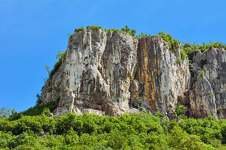 保加利亚山丘地区高地绿色植物森林多云爬坡山坡植物群图片