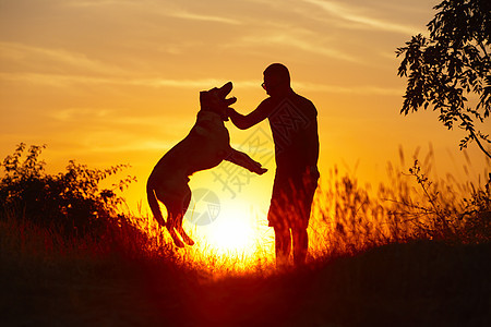 带狗的男人宠物田园活动男性风光日落犬类晴天天空快乐图片