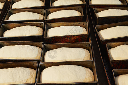 面包店食品金属生产白色生产线作坊面粉发酵工业面团图片