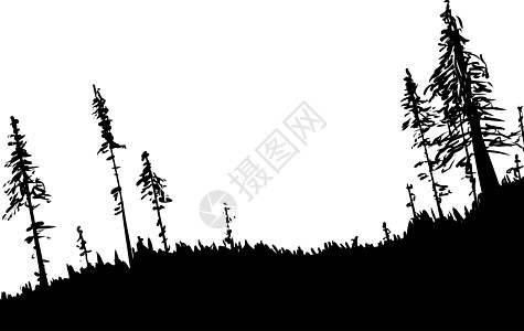 瑞典森林背景大纲背景图片
