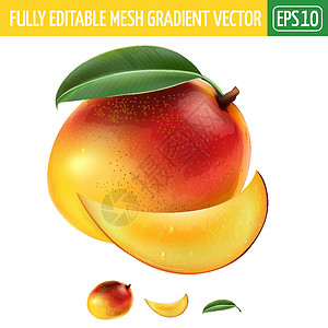 白色背景的芒果 矢量插图烹饪包装食物生态厨房蜜饯收成水果叶子果汁图片