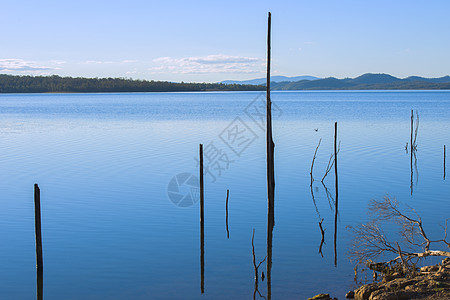 昆士兰的维芬霍湖白天绿色天空黄色蓝色反射图片