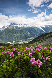 阿尔卑斯高山升起 在查莫尼克斯瓦利里图片
